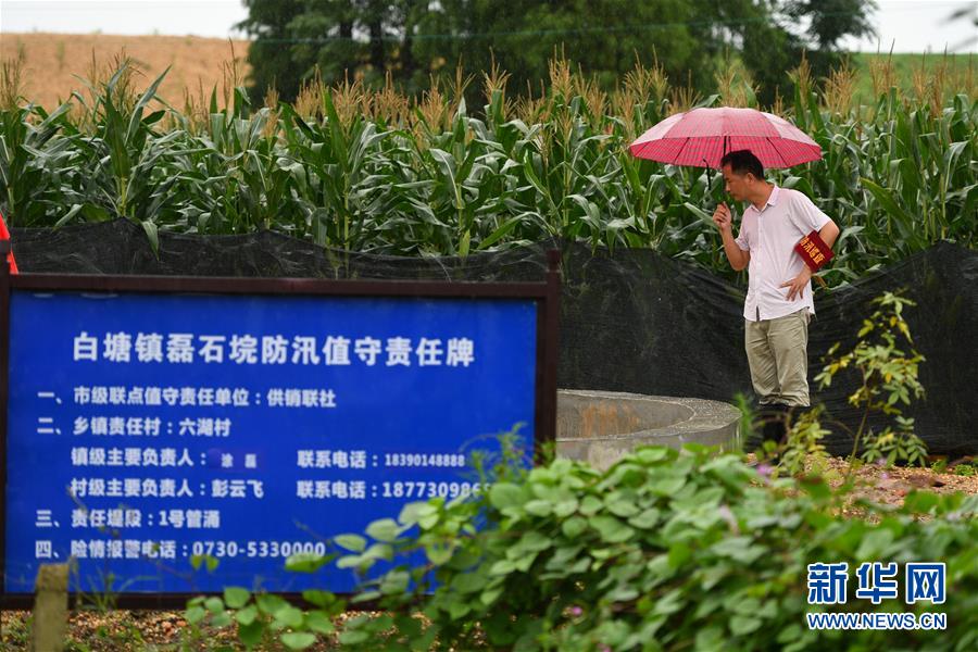 （防汛抗洪·圖文互動(dòng)）（1）“險(xiǎn)情不可怕，可怕的是不能及時(shí)發(fā)現(xiàn)險(xiǎn)情”——洞庭湖巡堤查險(xiǎn)現(xiàn)場(chǎng)直擊