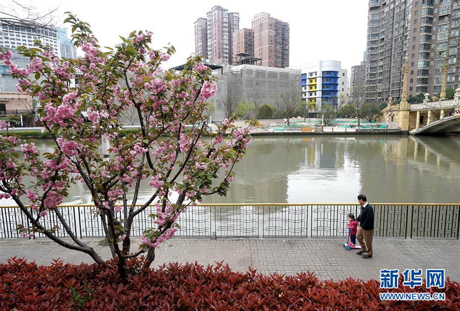 （新華全媒頭條·走向我們的小康生活·圖文互動）（12）城市，讓人民生活更美好