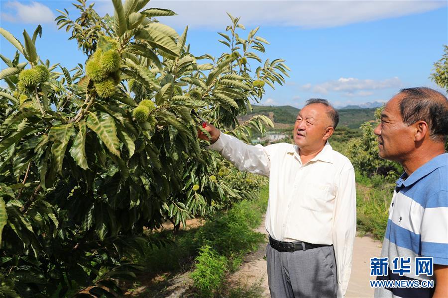 （新華全媒頭條·走向我們的小康生活·圖文互動）（11）長城腳下，小康村串成“珍珠鏈”