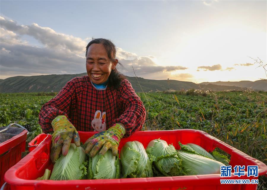 （新華全媒頭條·決戰(zhàn)決勝脫貧攻堅·督戰(zhàn)未摘帽貧困縣·圖文互動）（1）不獲全勝，決不收兵——全國52個掛牌督戰(zhàn)貧困縣脫貧攻堅紀(jì)實