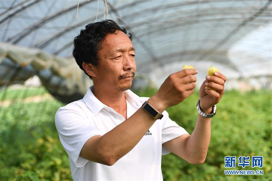（新華全媒頭條·走向我們的小康生活·圖文互動）（7）黑土地上是我家——在吉林，一瞥中國東北鄉(xiāng)村美麗未來