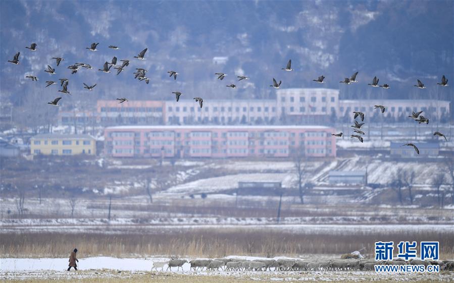 （新華全媒頭條·走向我們的小康生活·圖文互動）（14）黑土地上是我家——在吉林，一瞥中國東北鄉(xiāng)村美麗未來