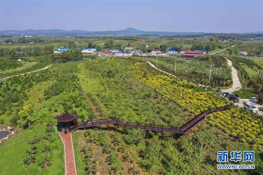 （新華全媒頭條·走向我們的小康生活·圖文互動）（16）黑土地上是我家——在吉林，一瞥中國東北鄉(xiāng)村美麗未來