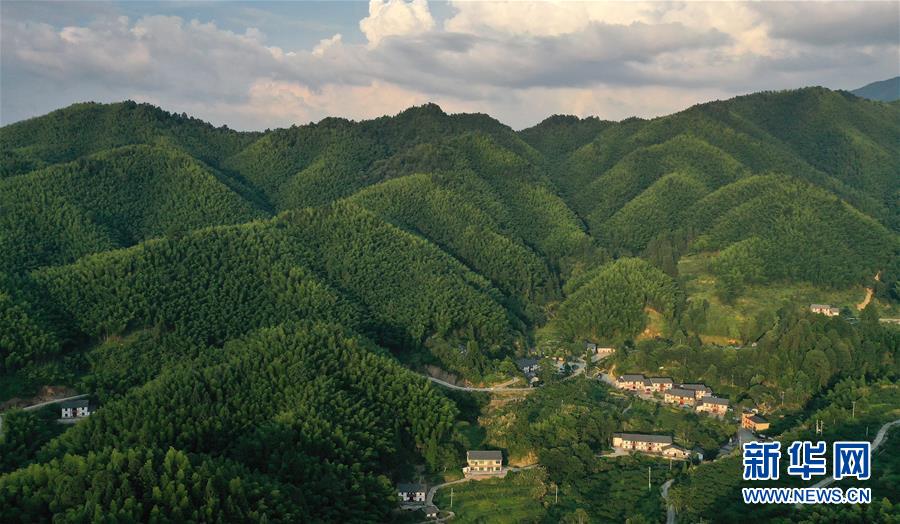 （新華全媒頭條·走向我們的小康生活·圖文互動）（2）神山村“神奇”何在？——井岡山深處覓答案