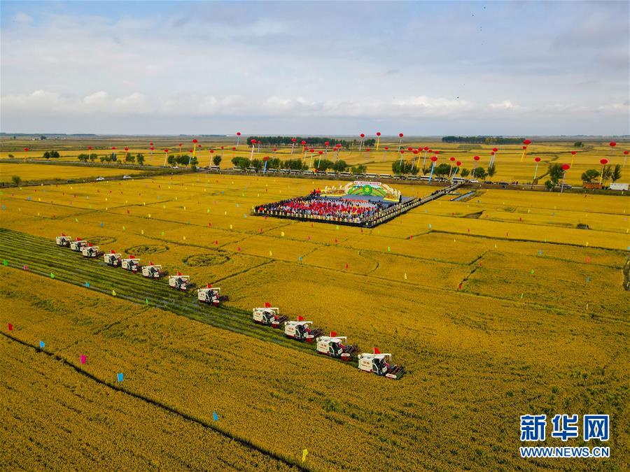 （新華全媒頭條·圖文互動(dòng)）（16）奮斗結(jié)碩果，再寫新篇章——寫在共和國71周年華誕之際