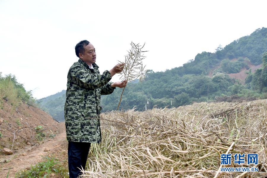 （代表委員履職·圖文互動(dòng)）（1）“我是農(nóng)民代表，始終關(guān)注農(nóng)村”——全國(guó)人大代表沈昌健的履職故事