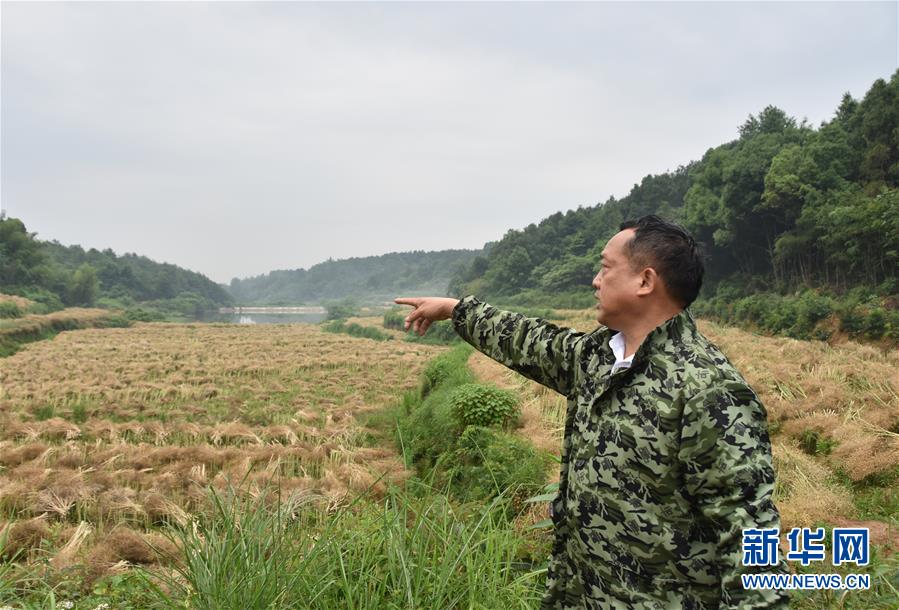（代表委員履職·圖文互動(dòng)）（2）“我是農(nóng)民代表，始終關(guān)注農(nóng)村”——全國(guó)人大代表沈昌健的履職故事