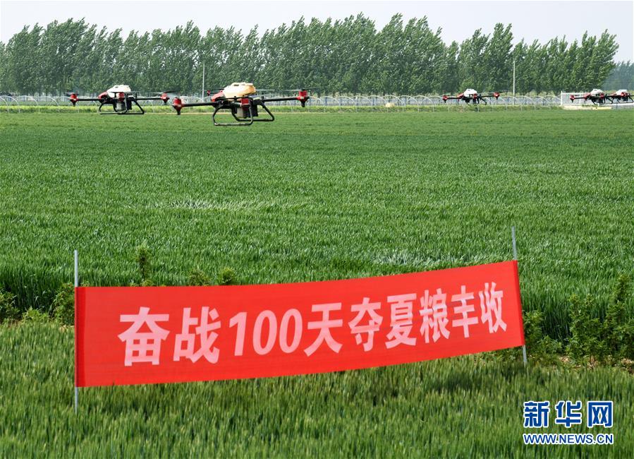 （在習(xí)近平新時(shí)代中國(guó)特色社會(huì)主義思想指引下——新時(shí)代新作為新篇章·習(xí)近平總書(shū)記關(guān)切事·圖文互動(dòng)）（9）新農(nóng)事、新希望——夏收前田間新動(dòng)態(tài)掃描