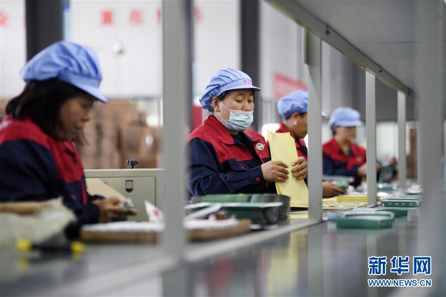 （在習(xí)近平新時代中國特色社會主義思想指引下——新時代新作為新篇章·習(xí)近平總書記關(guān)切事·圖文互動）（1）“綠色銀行”發(fā)工資、“股東”分紅來敲門……——探索長效脫貧致富新機制見聞