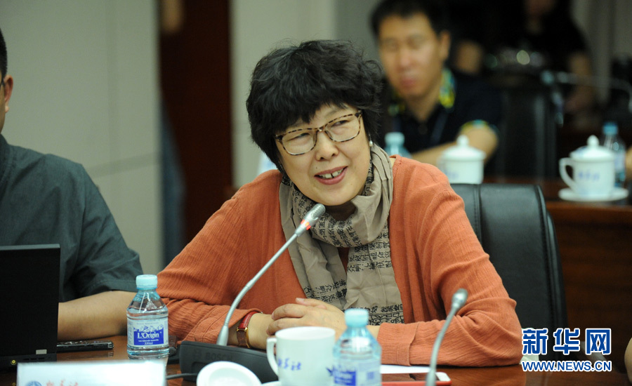 陳小波：新華人對歷史的擔(dān)當(dāng)、情感與良知