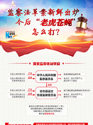 監(jiān)察法草案新鮮出爐 今后“老虎蒼蠅”怎么打？