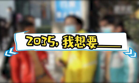2035，我想要____