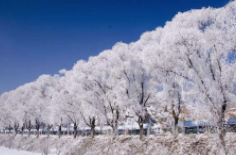 全國初雪時間表出爐 看看你離初雪還有多遠？