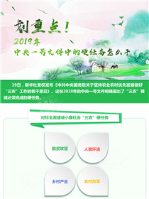劃重點！2019年中央一號文件中的硬任務(wù)怎么干