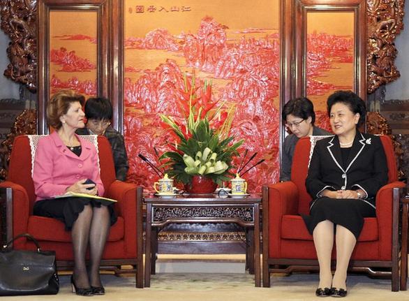 劉延?xùn)|會(huì)見歐盟委員會(huì)教育、文化、語言多樣性及青年事務(wù)委員瓦西利烏