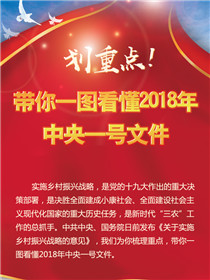 劃重點！帶你一圖看懂2018年中央一號文件
