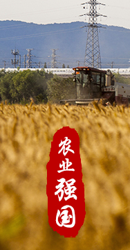 農(nóng)業(yè)強國是社會主義現(xiàn)代化強國的根基。