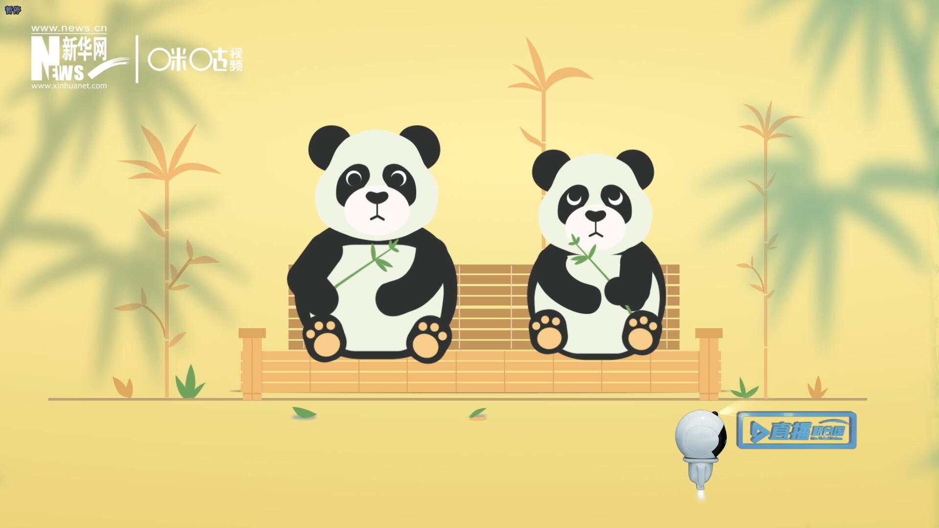 “哥哥你看，又有人來看我們了。”“有什么奇怪的，我們可是聯(lián)合國‘最萌’的大使?。?rdquo;。