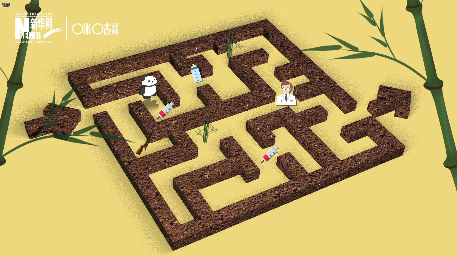 2016年，國際自然保護(hù)聯(lián)盟將大熊貓的物種瀕危等級，從“瀕危”下降到了“易危”。