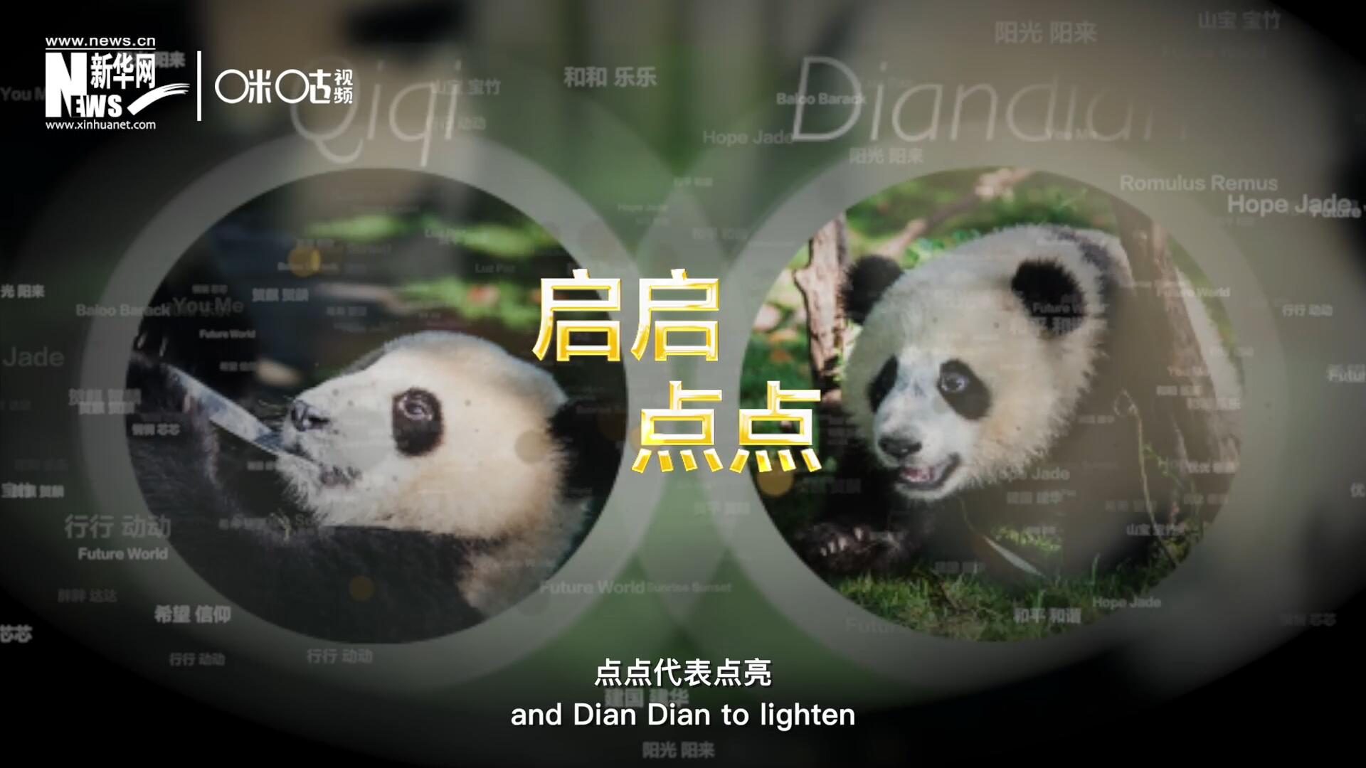 啟啟代表“啟發(fā)”，點(diǎn)點(diǎn)代表“點(diǎn)亮”，象征著2030年可持續(xù)發(fā)展議程 的“起點(diǎn)”，也象征著全球可持續(xù)發(fā)展路徑的新起點(diǎn)。