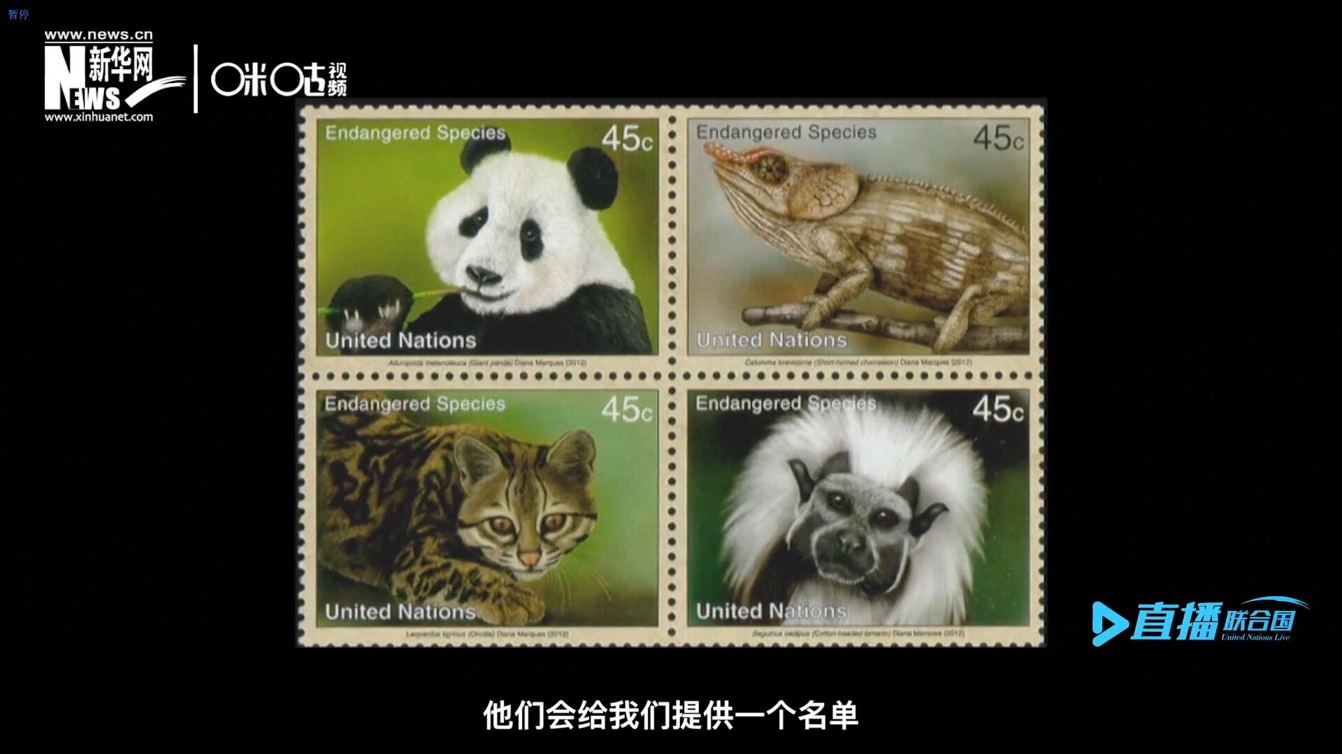 CITES（瀕危野生動植物種國際貿(mào)易公約）會給聯(lián)合國郵政設(shè)計師提供一個名單，雙方共同合作在附錄中找到名單中應(yīng)該受到關(guān)注的動物。