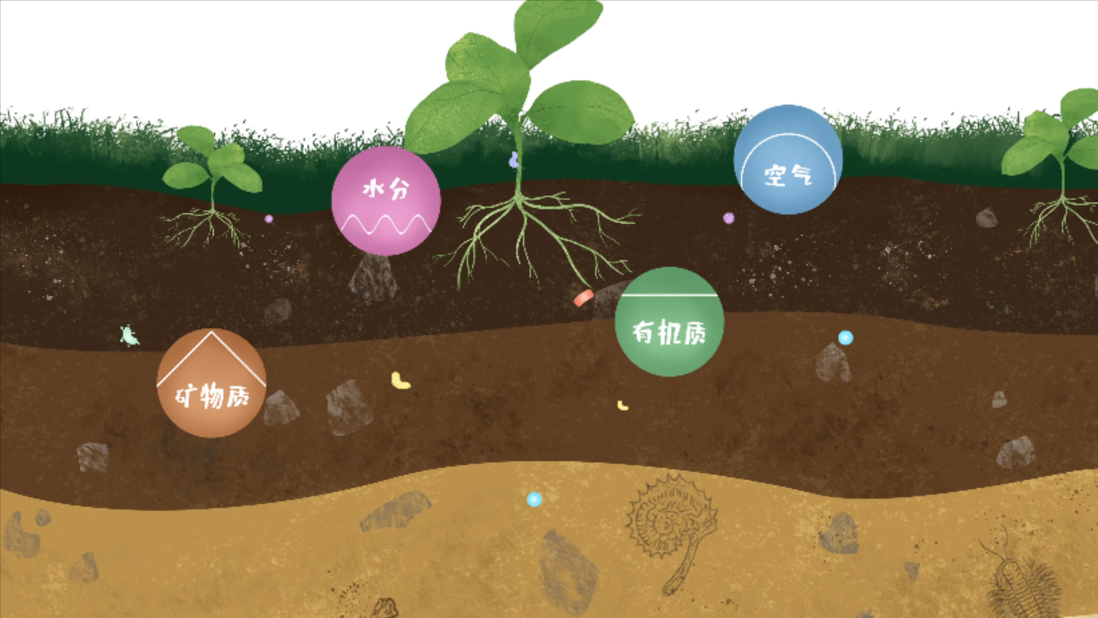 土壤由礦物質(zhì)、有機質(zhì)、水分、空氣及包括微生物在內(nèi)的生物體等組成