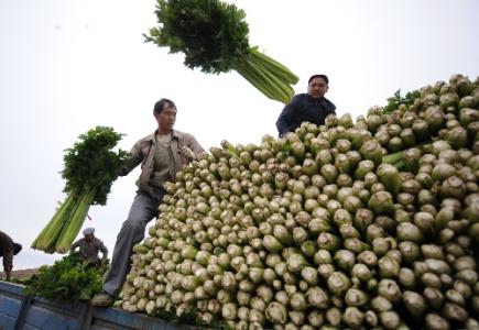 劉永富：發(fā)展產(chǎn)業(yè)脫貧仍是精準(zhǔn)扶貧、精準(zhǔn)脫貧主攻方向