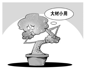 自認“大材小用”，不如腳踏實地