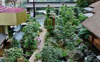 震撼！日本最豪華的廁所（組圖）