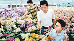 臺商眼中的改革開放：風景這邊獨好 要去，要去，要去！