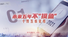 未來五年，不“摸魚”