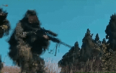 突入，擊斃！直擊武警特戰(zhàn)反劫持演練！