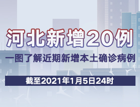 河北新增20例，一圖了解近期新增本土確診病例