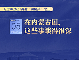習近平2021兩會“微鏡頭”之三 3月5日 在內(nèi)蒙古團，這些事談得很深