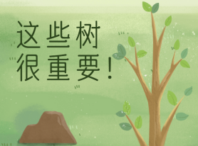 這些樹(shù)很重要！