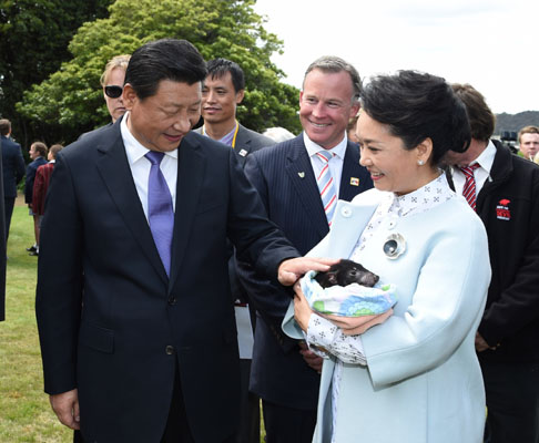 11月18日，國(guó)家主席習(xí)近平在澳大利亞塔斯馬尼亞州與朗塞斯頓市斯科奇－歐克伯恩小學(xué)的小學(xué)生共同植樹(shù)。這是習(xí)近平和夫人彭麗媛植樹(shù)后撫摸袋獾。新華社記者 馬占成 攝