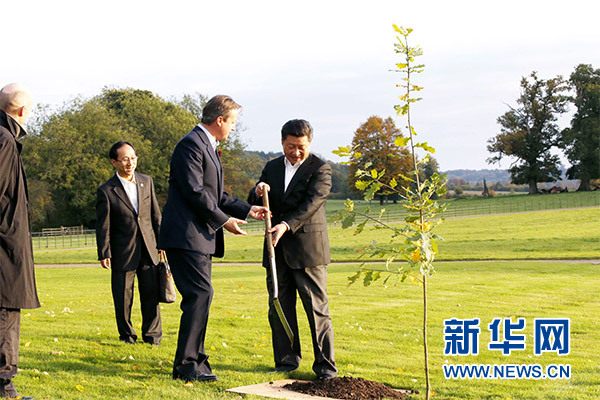 兩國領(lǐng)導(dǎo)人一同在別墅草坪，共同種下象征中英友誼的橡樹。新華社記者 鞠鵬 攝
