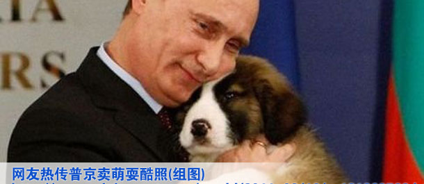 網(wǎng)友熱傳普京賣萌?？嵴?組圖)