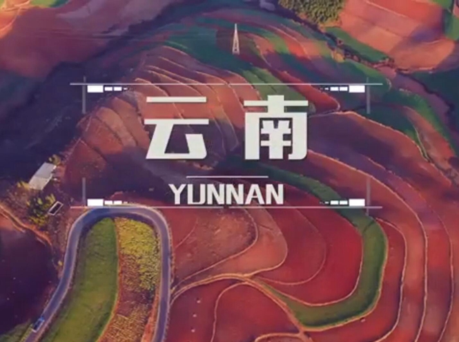 面向全球，直播“一帶一路”！——古道新生云之南